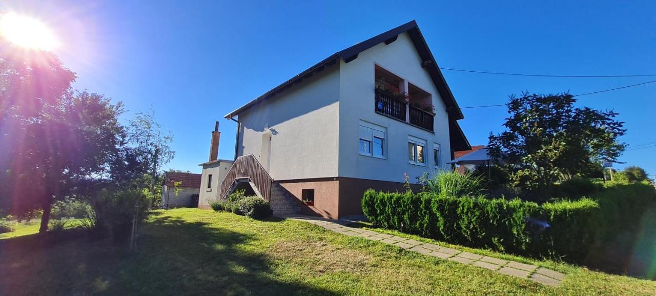 Apartment Nina Drežnik Grad Екстериор снимка