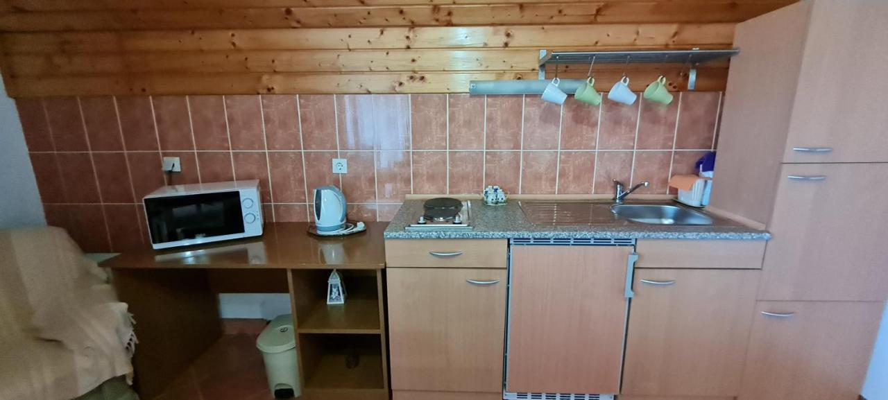 Apartment Nina Drežnik Grad Екстериор снимка