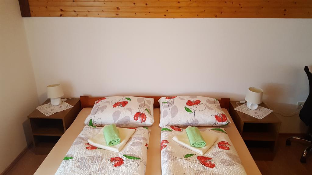 Apartment Nina Drežnik Grad Екстериор снимка