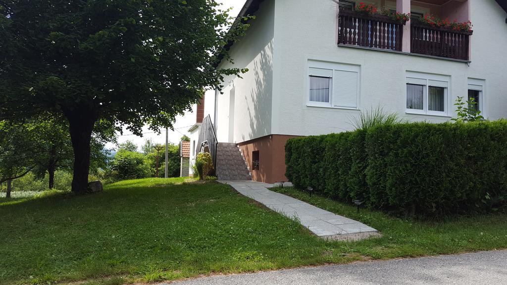 Apartment Nina Drežnik Grad Екстериор снимка