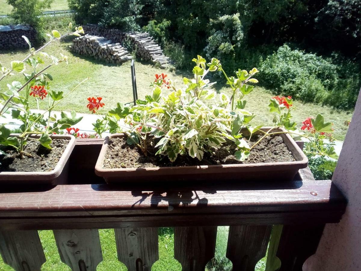 Apartment Nina Drežnik Grad Екстериор снимка