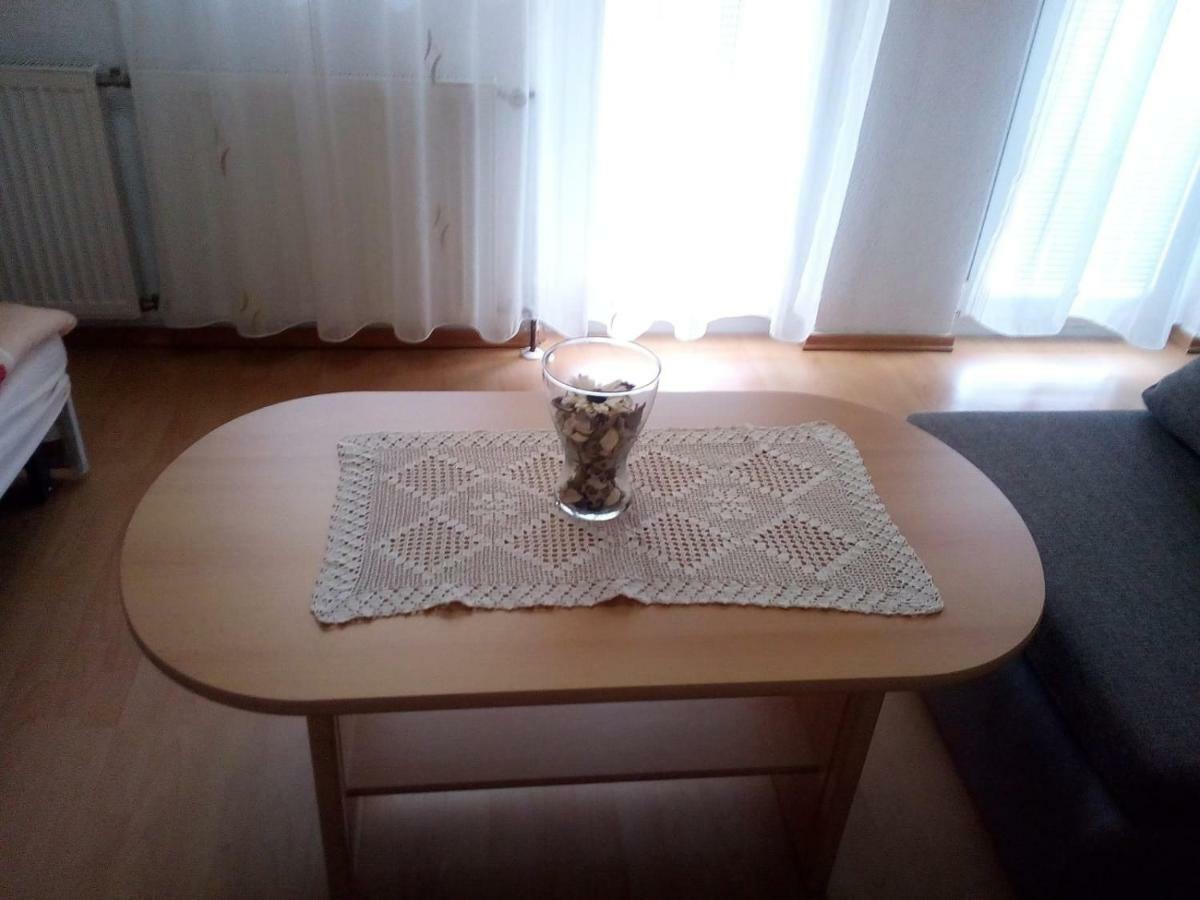 Apartment Nina Drežnik Grad Екстериор снимка