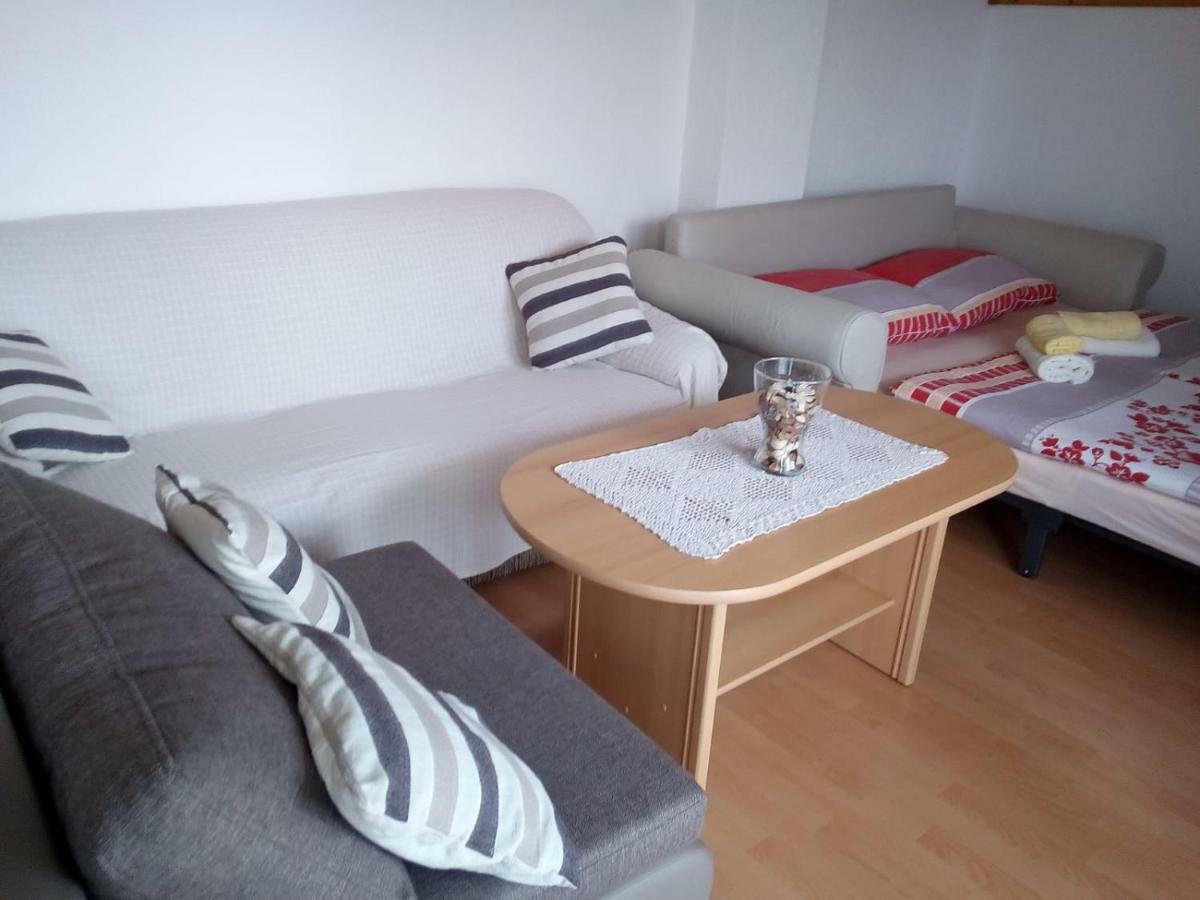 Apartment Nina Drežnik Grad Екстериор снимка
